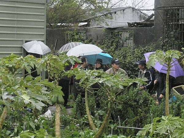 20140302 綠能市民農園 宜蘭綠田農莊 宜蘭三星的樂活農夫 (18).JPG