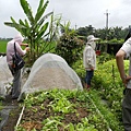 20140419宜蘭綠田農莊之旅 (37).JPG