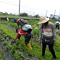 20140419宜蘭綠田農莊之旅 (46).JPG