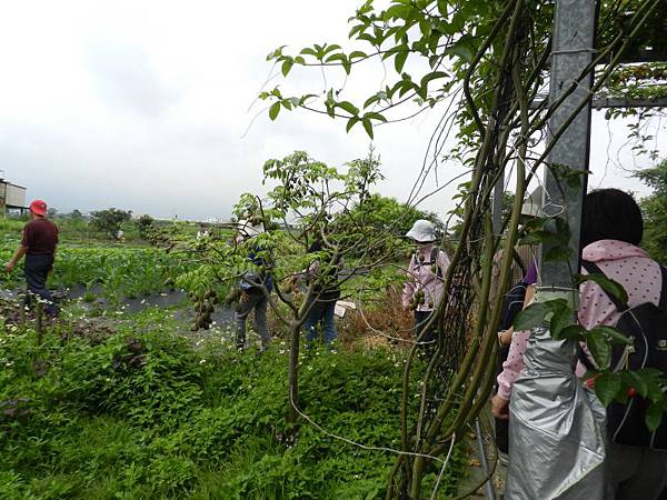 20140419宜蘭綠田農莊之旅 (59).JPG