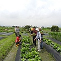 20140419宜蘭綠田農莊之旅 (76).JPG