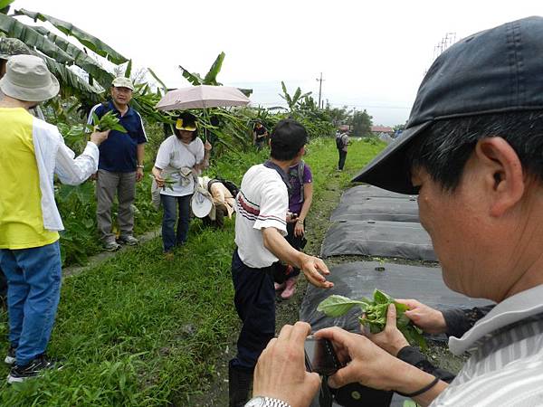 20140419宜蘭綠田農莊之旅 (79).JPG