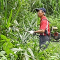 20140419宜蘭邱錦和老師農場之旅 (82).JPG