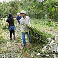 20140419宜蘭邱錦和老師農場之旅 (105).JPG