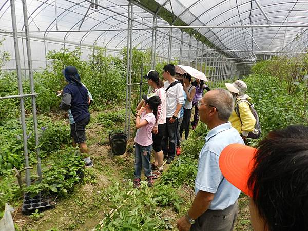 20140510地球環境季～鐵馬走讀大嵙崁溪，壯遊鳶山堰綠學堂 (2).JPG