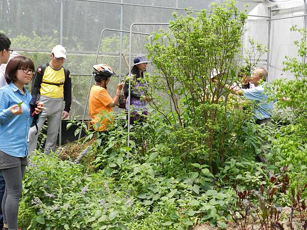 20140510地球環境季～鐵馬走讀大嵙崁溪，壯遊鳶山堰綠學堂 (3).JPG