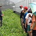 20140510地球環境季～鐵馬走讀大嵙崁溪，壯遊鳶山堰綠學堂 (4).JPG