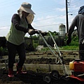 20140628宜蘭綠田農園 (15).jpg