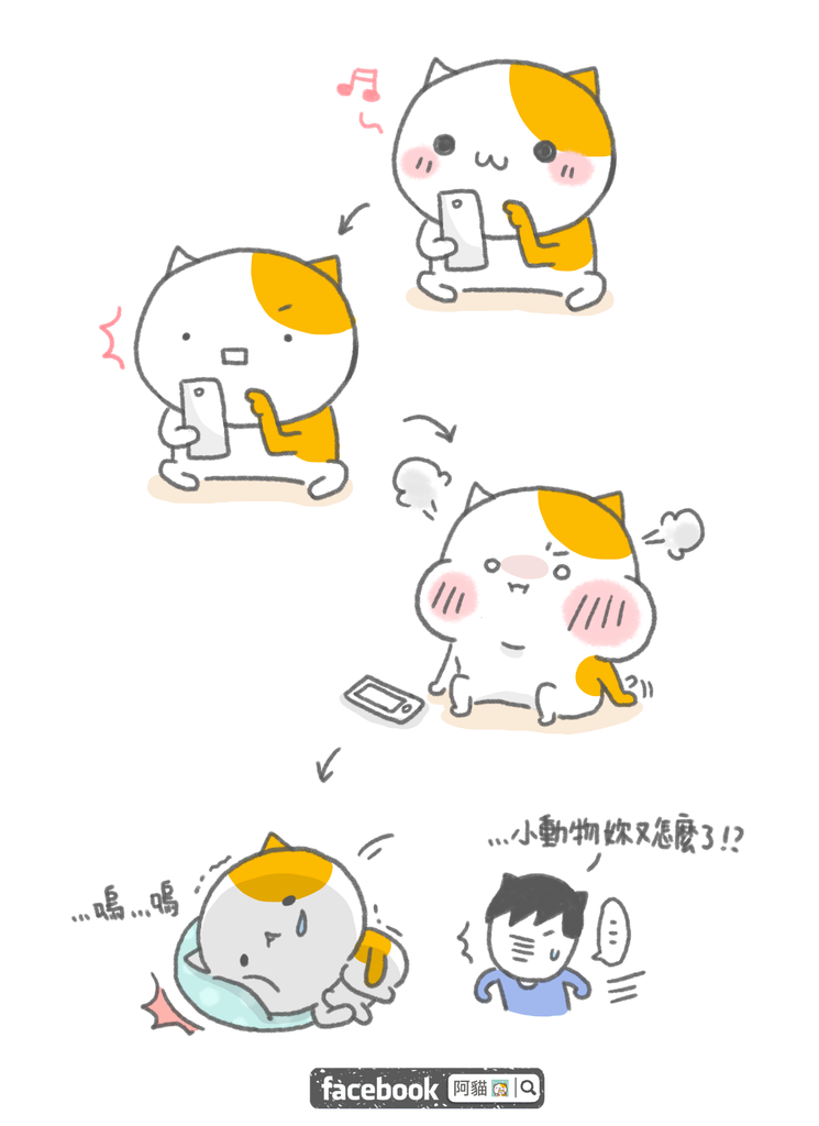 2.png 2.png