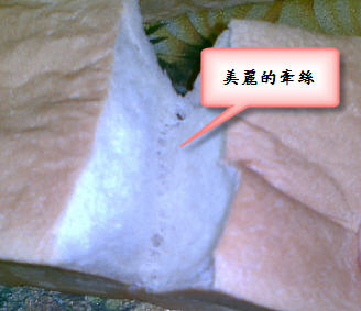 芋泥土司 芋泥土司