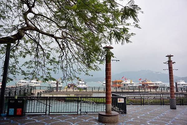 DSC_2465 DSC_2465