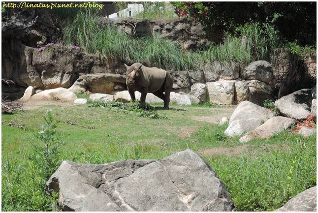 天王寺動物園014.JPG