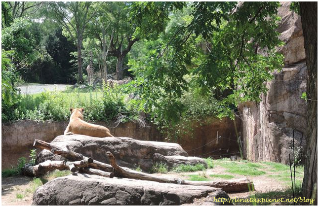 天王寺動物園022.JPG