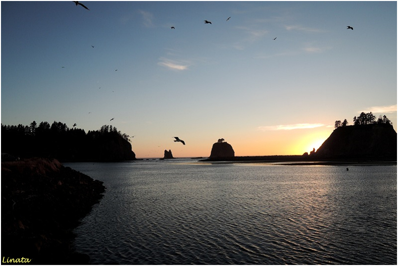 Forks Lapush042-1.JPG