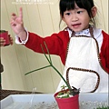 媽咪小太陽親子聚會-2011-0110-綠色-多肉植物 (17).jpg