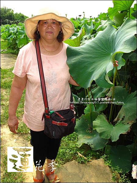 2011-0729-桃園觀音-大田蓮花餐廳 (31).jpg