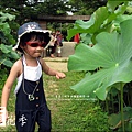 2011-0729-桃園觀音-大田蓮花餐廳 (33).jpg