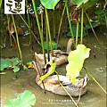 2011-0729-桃園觀音-大田蓮花餐廳 (35).jpg