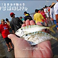 2011-0813-苗栗海洋觀光季-竹南-龍鳳漁港 (16).jpg