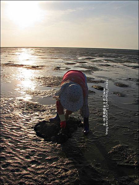 2011-0926-新竹-香山濕地挖蛤蜊 (7).jpg
