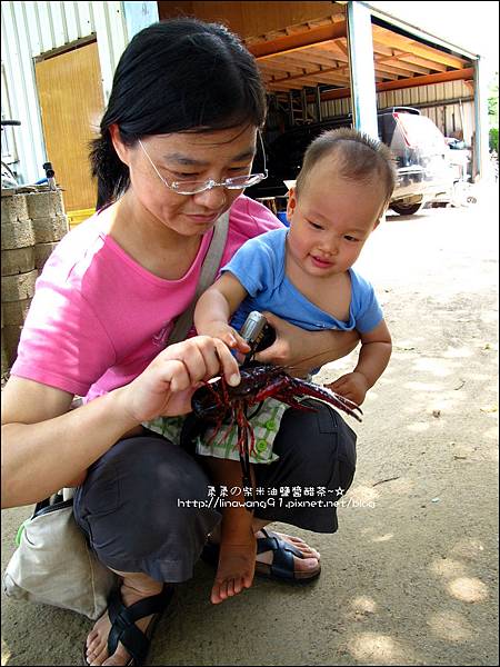 2011-0826-竹北-善水草塘-生態導覽篇 (7).jpg