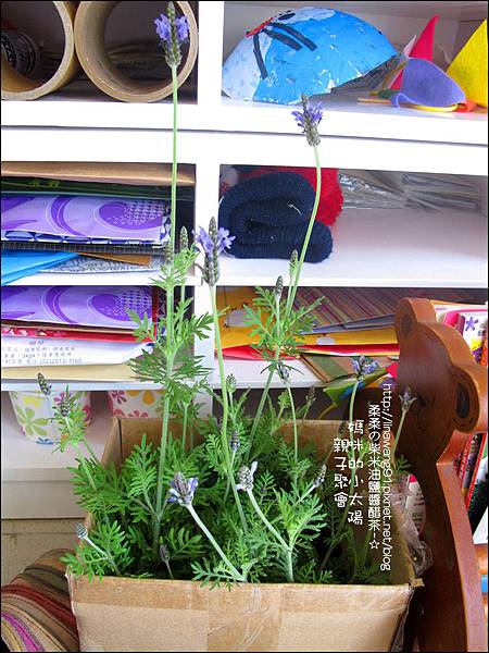 媽咪小太陽親子聚會-紫色-薫衣草-2011-0223 (12).jpg