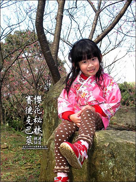 2012-0212-桃園-桃源仙谷-賽德克巴萊的櫻花秘林 (3).jpg