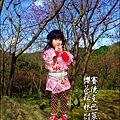 2012-0212-桃園-桃源仙谷-賽德克巴萊的櫻花秘林 (6).jpg