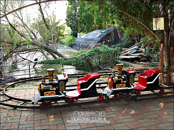 2011-1122-桃園-青松花卉農場 (42)