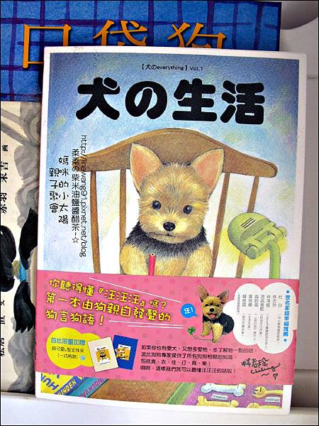 2011-0420-小太陽-日本-柴犬 (1)