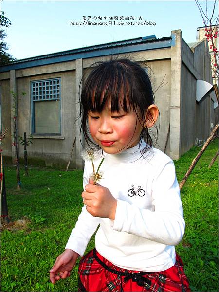 2012-0301-新竹麗池-蒲公英 (12)