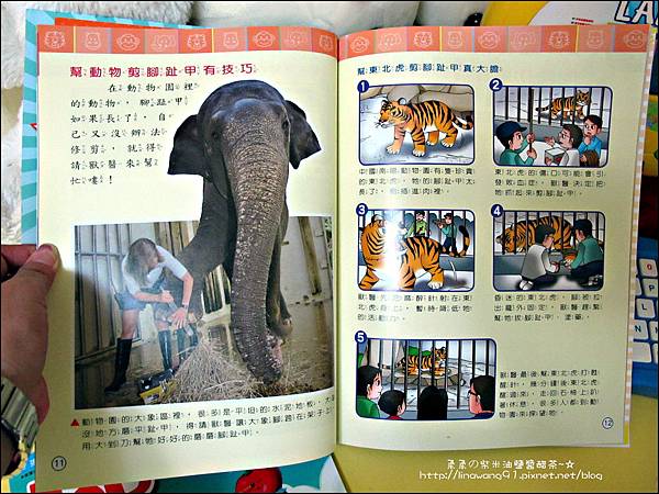 2012-0426-TOP945康軒學習雜誌 (1)