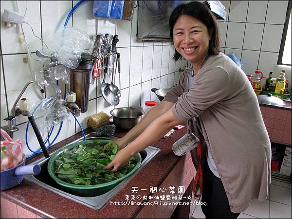 2012-0528-天一開心菜園-DIY蔬菜盆栽 (1)