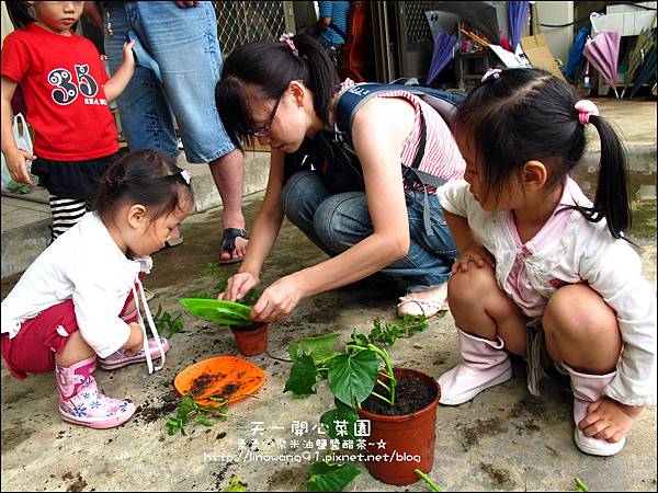 2012-0528-天一開心菜園-DIY蔬菜盆栽 (8)