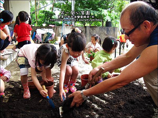2012-0528-天一開心菜園-DIY蔬菜盆栽 (10)