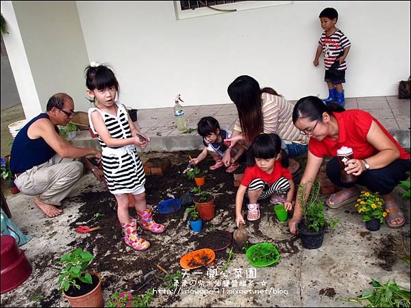 2012-0528-天一開心菜園-DIY蔬菜盆栽 (11)