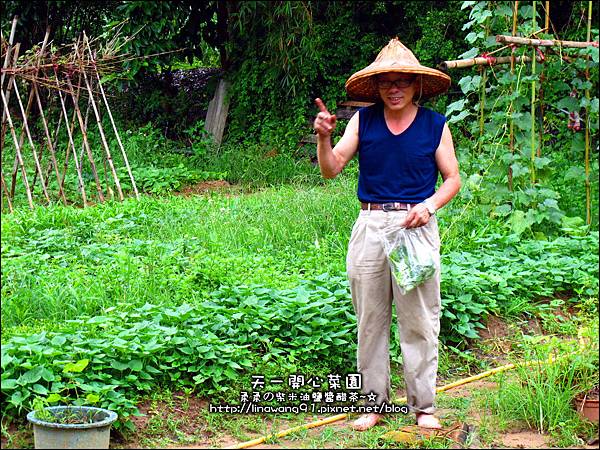 2012-0528-天一開心菜園-假日農夫體驗營 (19)