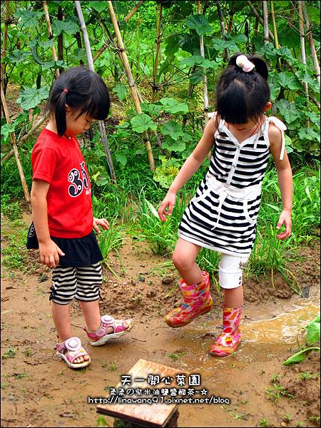 2012-0528-天一開心菜園-假日農夫體驗營 (22)