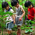 2012-0528-天一開心菜園-假日農夫體驗營 (23)