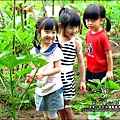 2012-0528-天一開心菜園-假日農夫體驗營 (24)