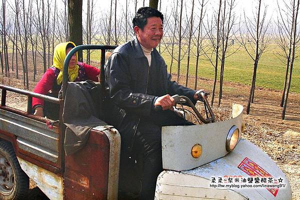 大陸-青島-特製的三輪車