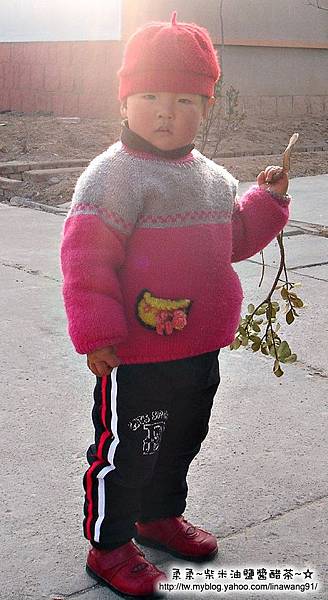 大陸-青島-樹枝是我的玩具