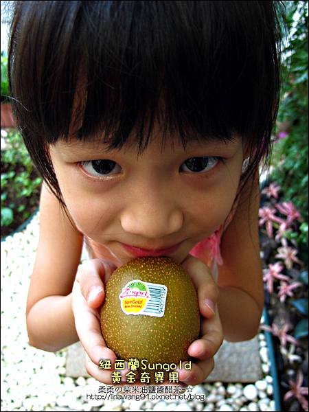 2012-0714 -紐西蘭Sun Gold黃金奇異果 (12)