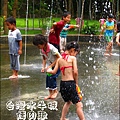 2012-0629-苗栗後龍-台灣水牛城-玩水烤肉 (15)