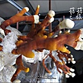 2012-0420-豐年靈芝菇類生態農場 (18)