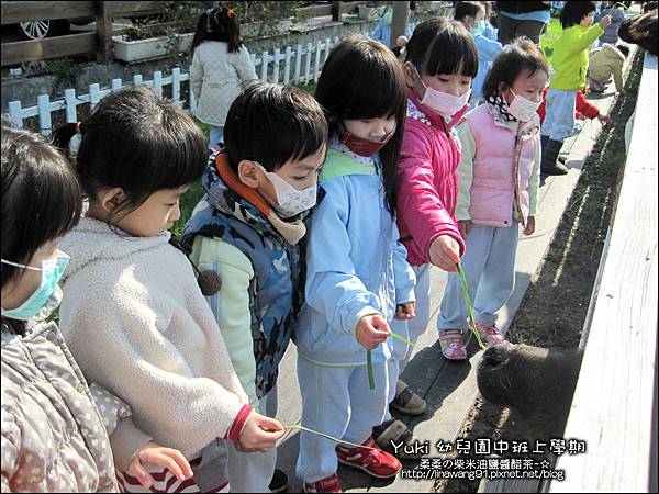 2012-1212-幼稚園中班上學期-農場生活-Yuki 4Y11M-戶外教學-巷弄田園 (1)