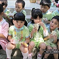 2012-1005-幼稚園中班上學期-4Y9M-公園郊遊