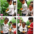 2012-0329-新竹關西-金勇DIY蕃茄農場 (2)