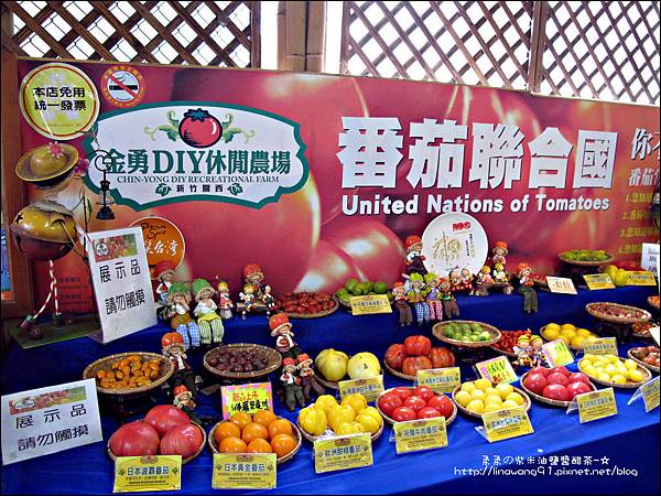 2012-0329-新竹關西-金勇DIY蕃茄農場 (10)