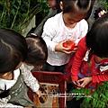 2012-0329-新竹關西-金勇DIY蕃茄農場 (20)